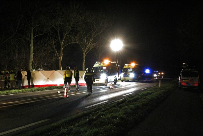 Automobilist overleden na botsing tegen boom