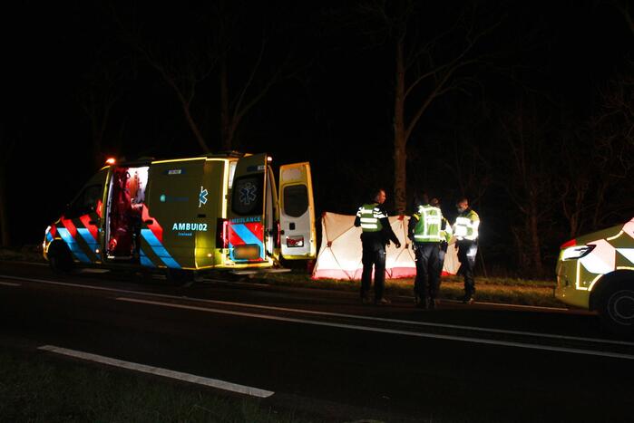 Automobilist overleden na botsing tegen boom