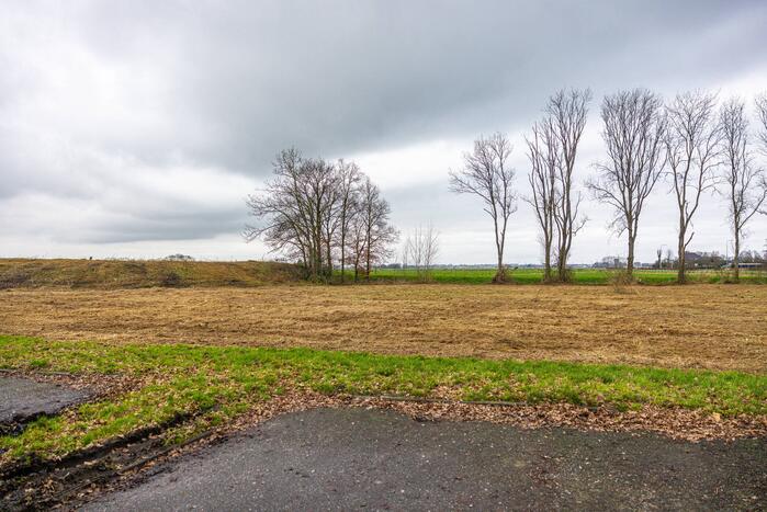 Kaalslag in beruchte bosgebied carpoolplaats Bunschoten