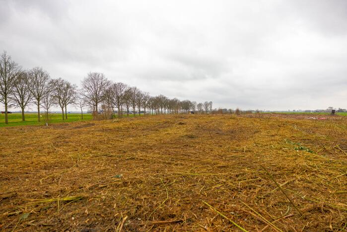 Kaalslag in beruchte bosgebied carpoolplaats Bunschoten