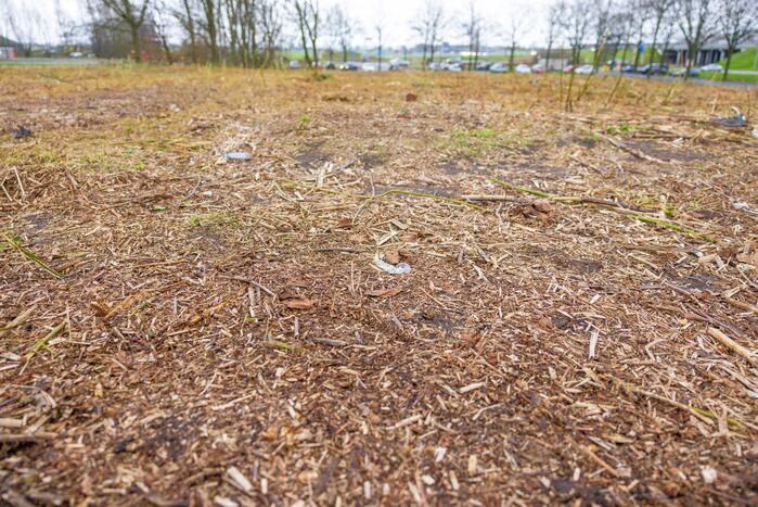 Kaalslag in beruchte bosgebied carpoolplaats Bunschoten