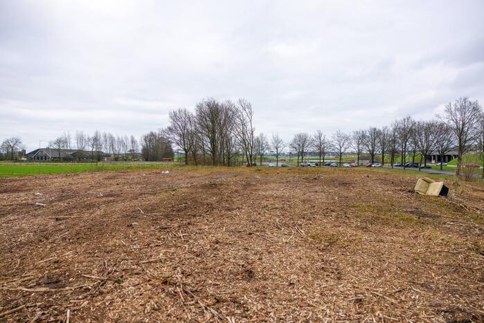 Kaalslag in beruchte bosgebied carpoolplaats Bunschoten