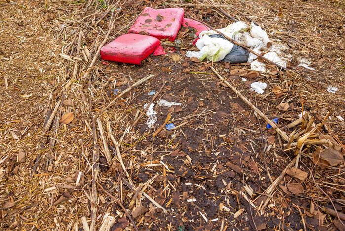 Kaalslag in beruchte bosgebied carpoolplaats Bunschoten