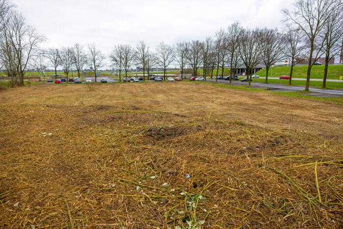 Kaalslag in beruchte bosgebied carpoolplaats Bunschoten