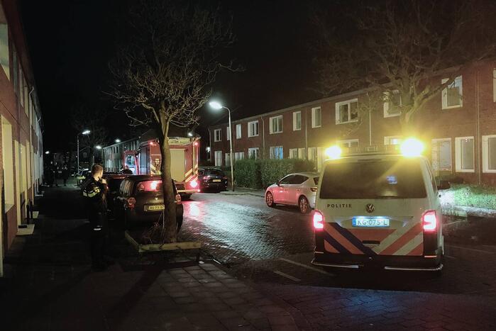 Onderzoek naar terpentine lucht