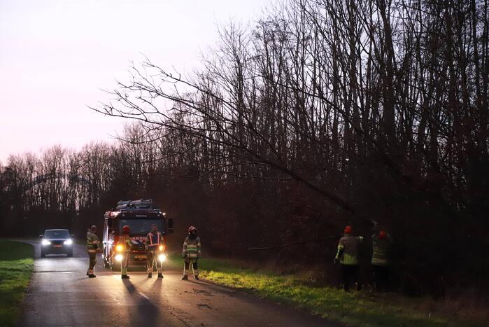 Brandweer verwijdert gevaarlijke tak boven de weg