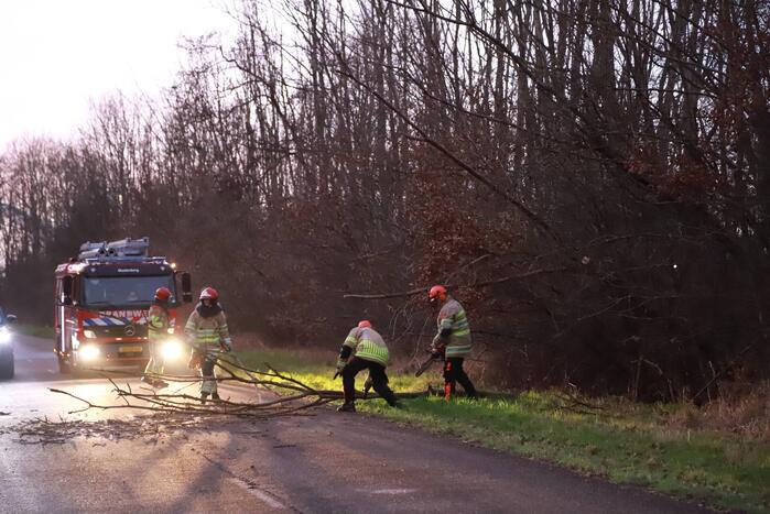 Brandweer verwijdert gevaarlijke tak boven de weg