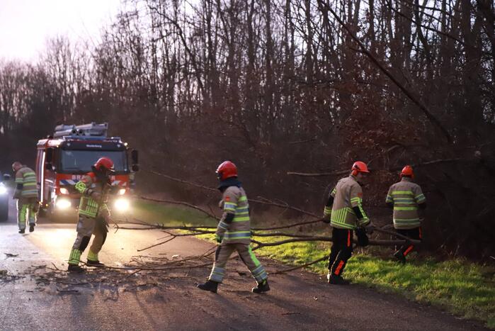 Brandweer verwijdert gevaarlijke tak boven de weg