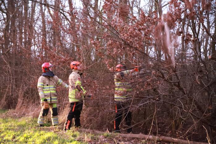 Brandweer verwijdert gevaarlijke tak boven de weg