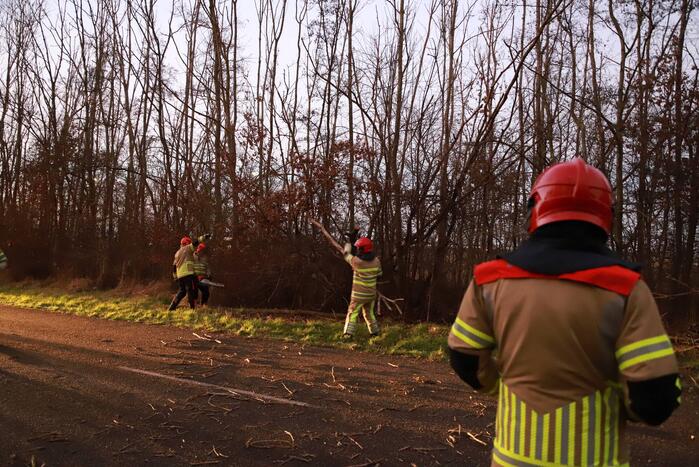 Brandweer verwijdert gevaarlijke tak boven de weg
