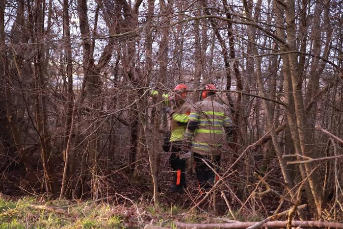 Brandweer verwijdert gevaarlijke tak boven de weg