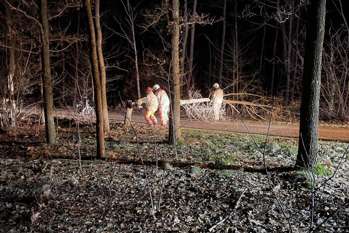Gevaarlijke boom over de weg verwijderd