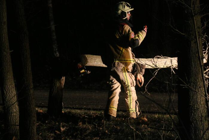 Gevaarlijke boom over de weg verwijderd