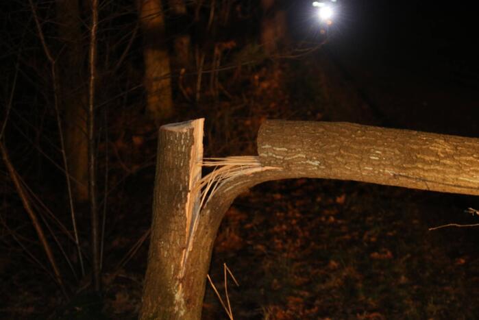 Gevaarlijke boom over de weg verwijderd