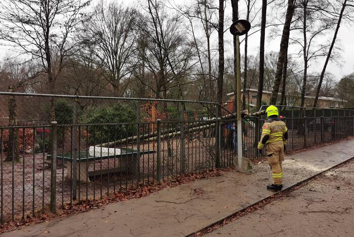 Omgewaaide boom valt op hekwerk van school