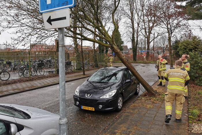 Omgewaaide boom belandt op auto
