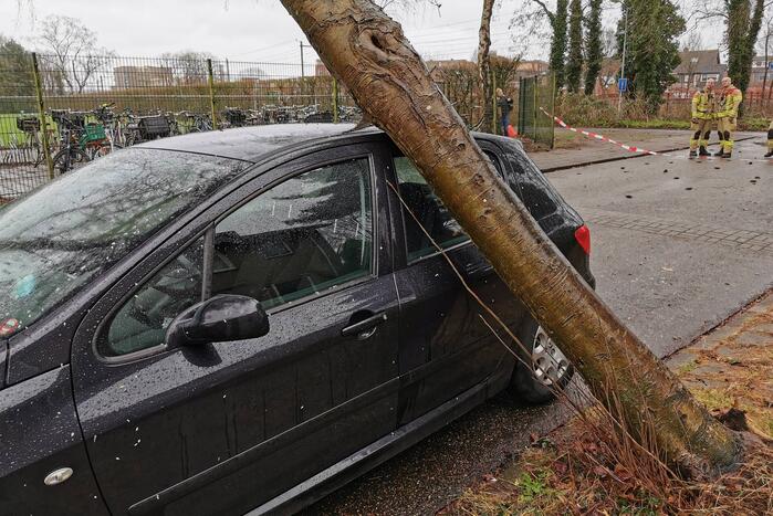 Omgewaaide boom belandt op auto