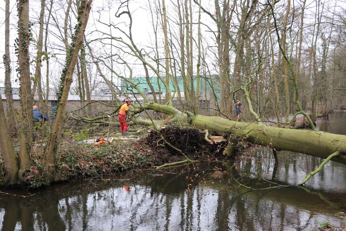 Omgevallen boom verspert fietspad Leidse Hout
