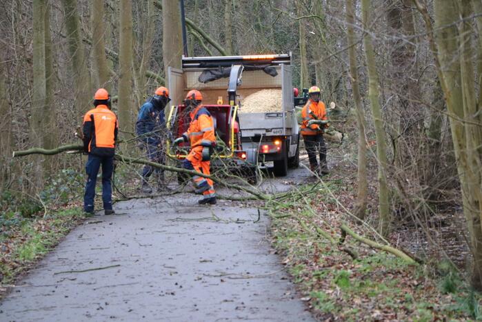 Omgevallen boom verspert fietspad Leidse Hout
