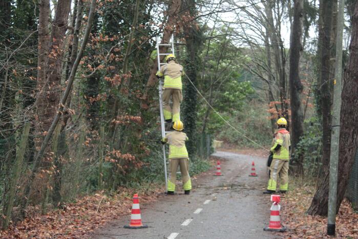 Boom hangt gevaarlijk over fietspad