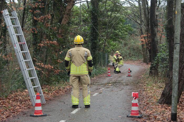 Boom hangt gevaarlijk over fietspad