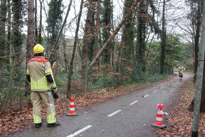 Boom hangt gevaarlijk over fietspad