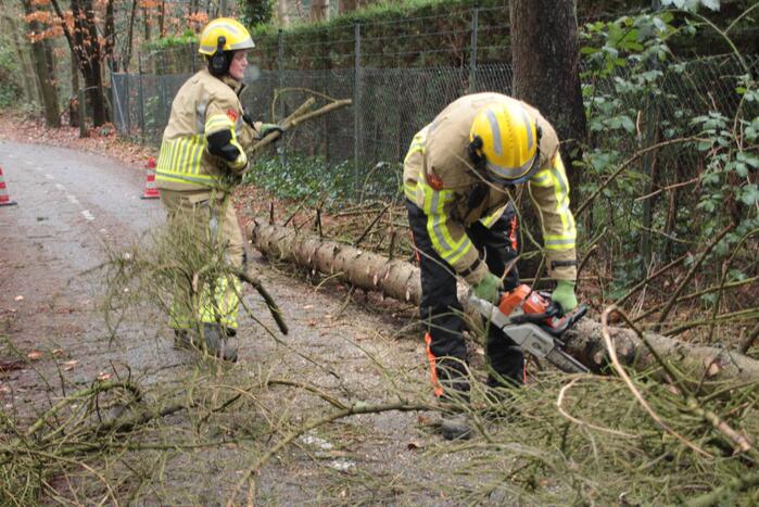 Boom hangt gevaarlijk over fietspad