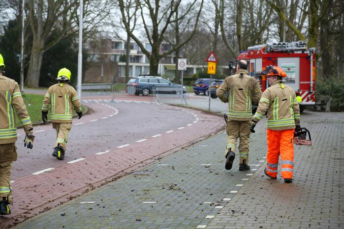 Brandweer zaagt omgevallen boom klein