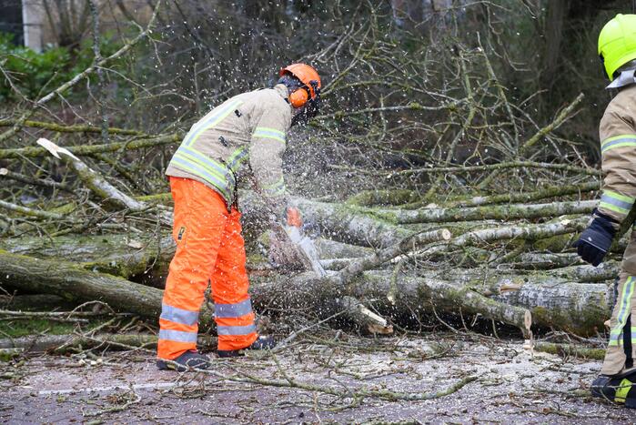 Brandweer zaagt omgevallen boom klein