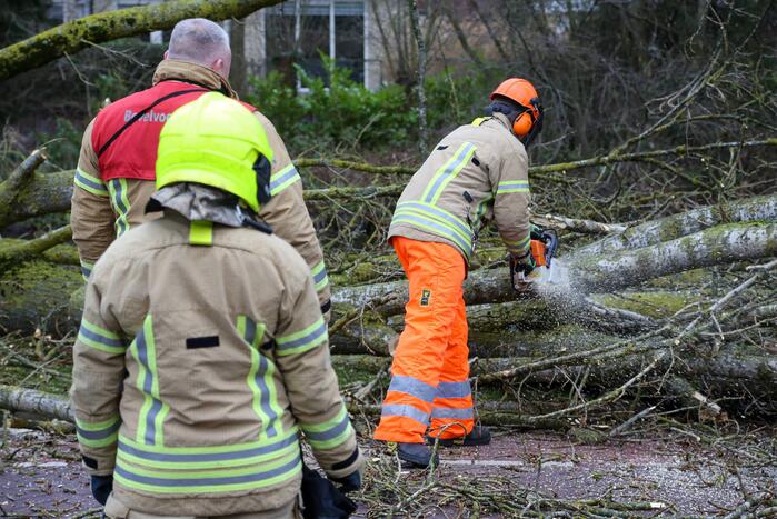 Brandweer zaagt omgevallen boom klein
