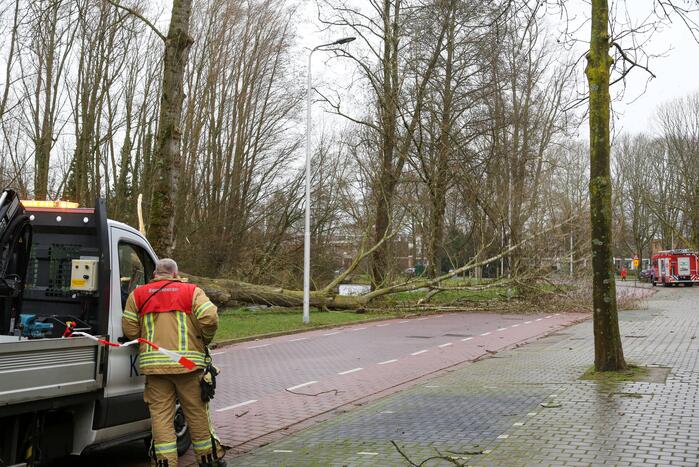 Brandweer zaagt omgevallen boom klein