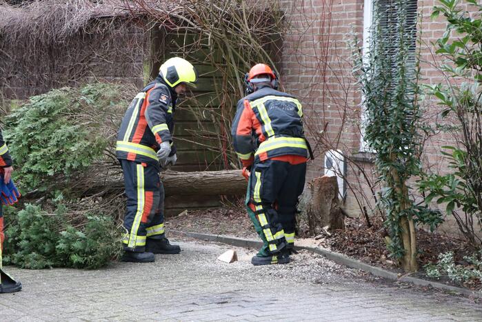 Brandweer zaagt omgewaaide boom in stukken