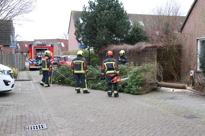 Brandweer zaagt omgewaaide boom in stukken