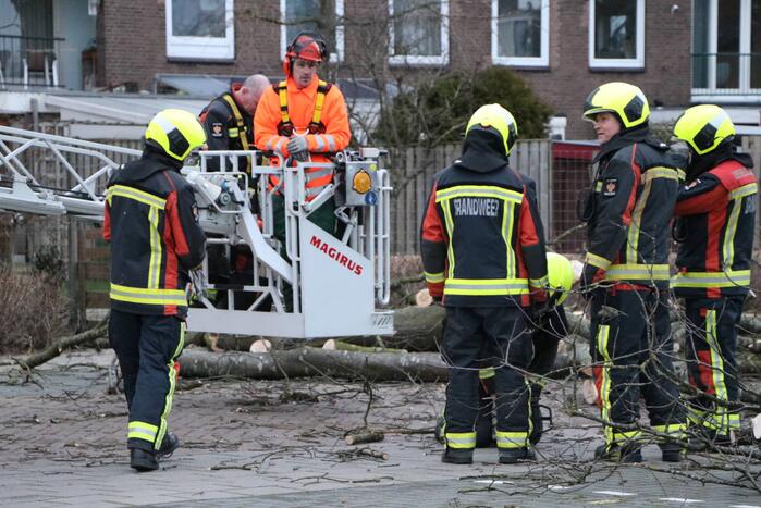 Hulpdiensten handen vol aan omvallende boom