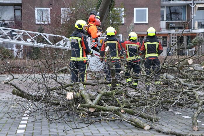 Hulpdiensten handen vol aan omvallende boom