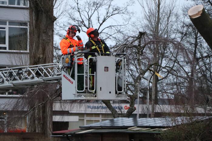 Hulpdiensten handen vol aan omvallende boom
