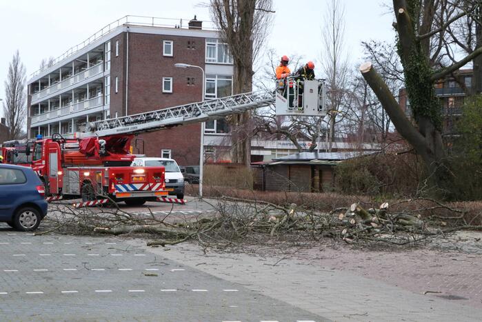 Hulpdiensten handen vol aan omvallende boom