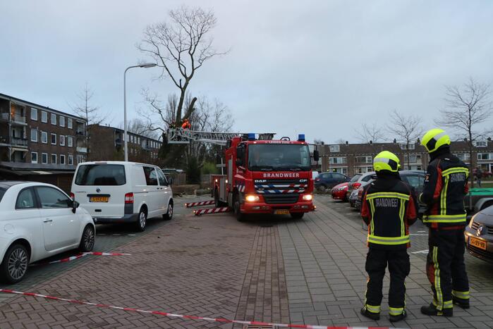 Hulpdiensten handen vol aan omvallende boom