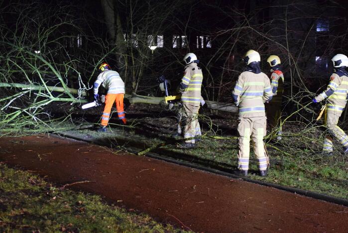 Boom waait over fietspad