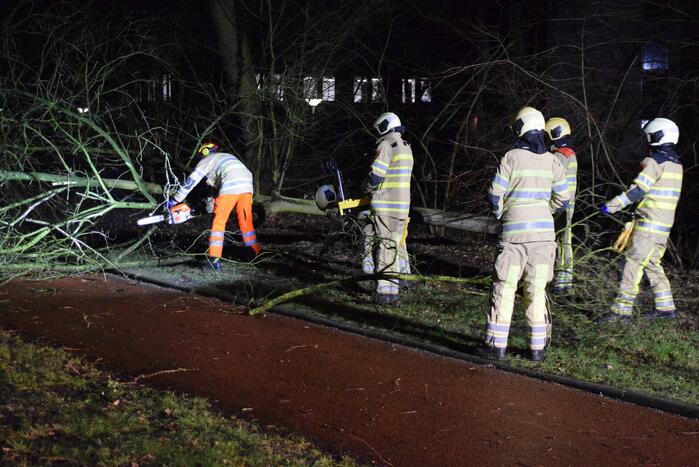 Boom waait over fietspad