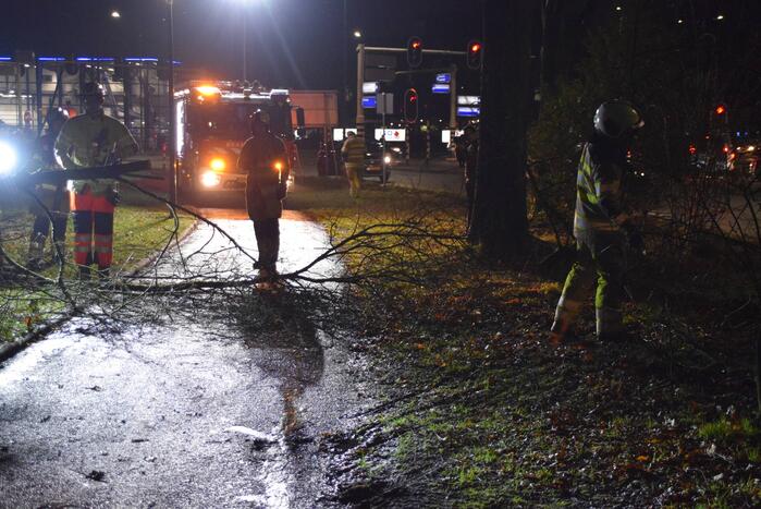 Boom waait over fietspad