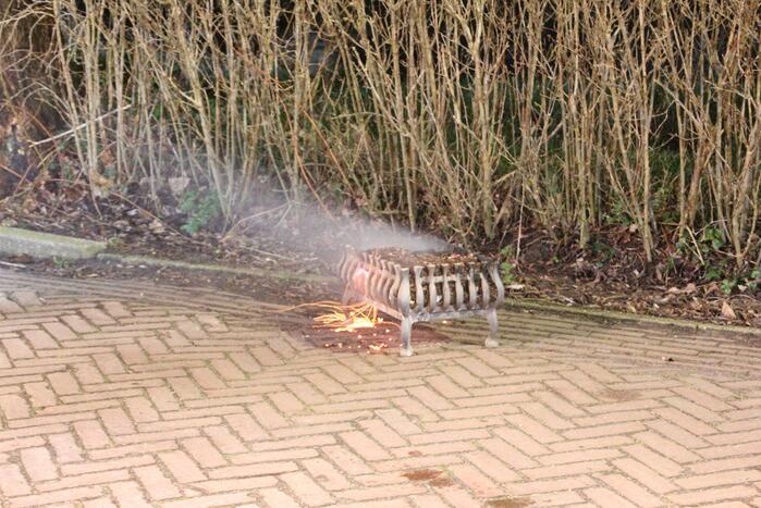 Brand in schoorsteen van woning