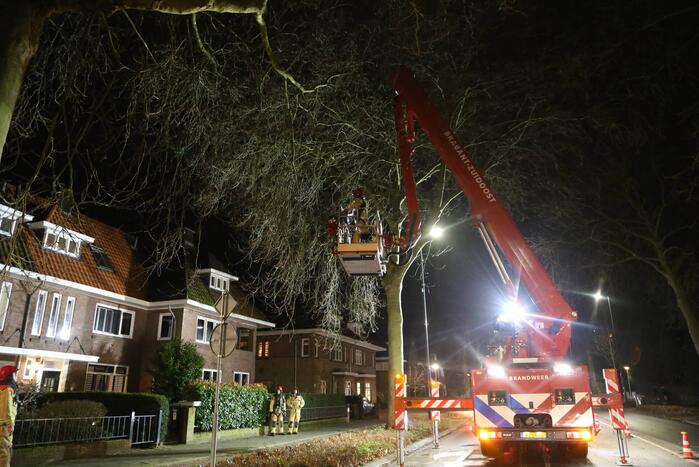 Brand in schoorsteen van woning