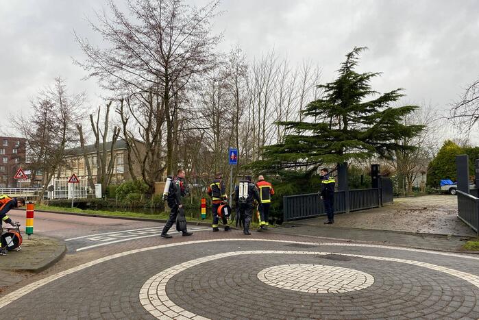 Duiker zoekt in water naar gestolen telefoon