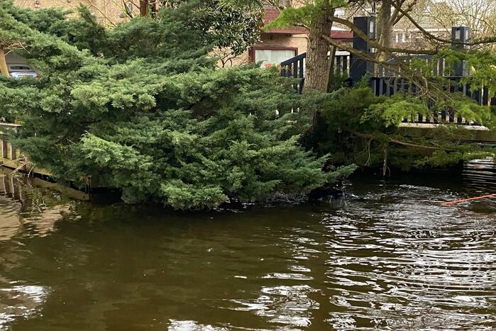 Duiker zoekt in water naar gestolen telefoon