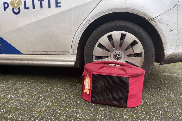 Kat uit woning gehaald na brand in keuken