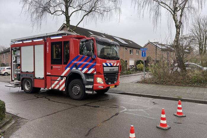 Kat uit woning gehaald na brand in keuken