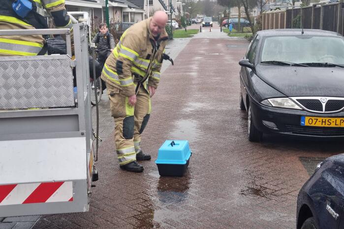 Baasje redt kat van het dak