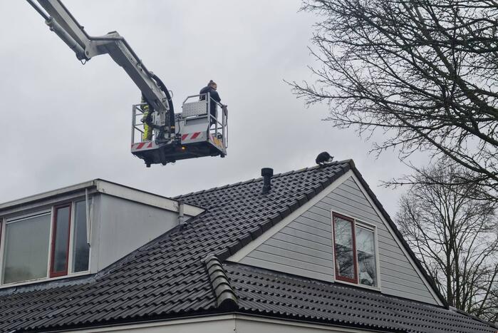 Baasje redt kat van het dak
