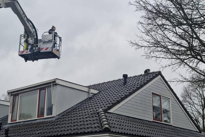 Baasje redt kat van het dak